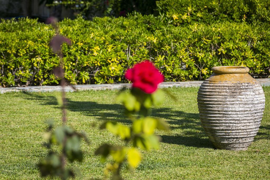 Olive Grove Studios & Apartments Svoronata Exterior foto